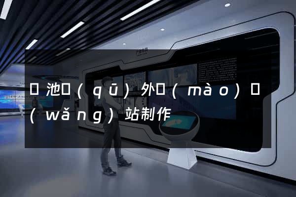 貴池區(qū)外貿(mào)網(wǎng)站制作