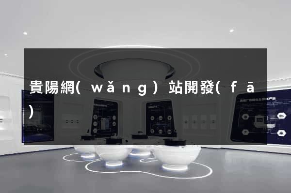 貴陽網(wǎng)站開發(fā)