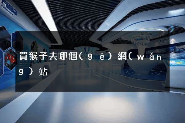 買猴子去哪個(gè)網(wǎng)站