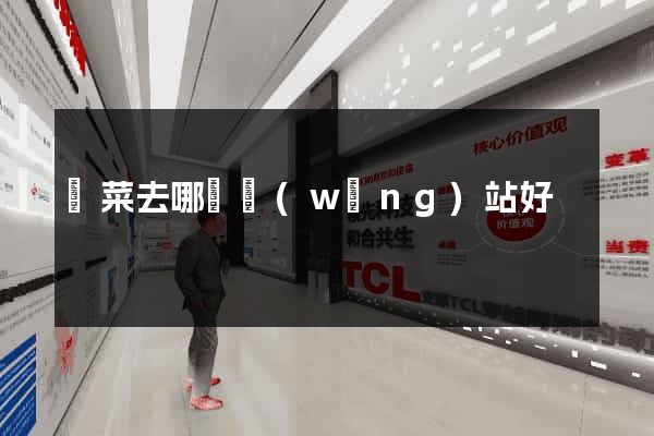 買菜去哪個網(wǎng)站好