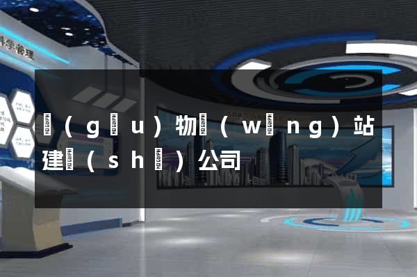 購(gòu)物網(wǎng)站建設(shè)公司