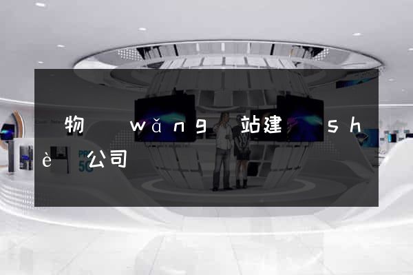購物網(wǎng)站建設(shè)公司