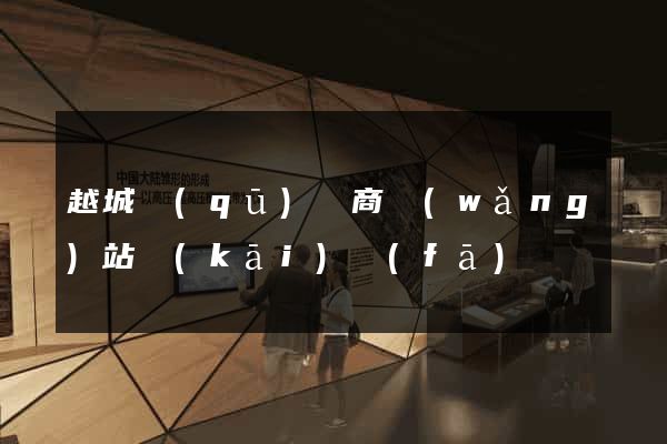 越城區(qū)電商網(wǎng)站開(kāi)發(fā)