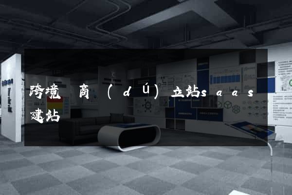 跨境電商獨(dú)立站saas建站