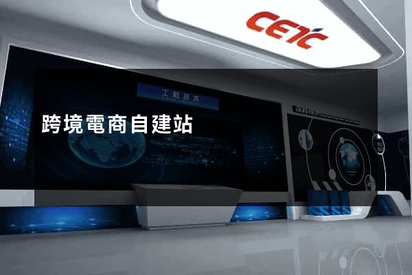 跨境電商自建站