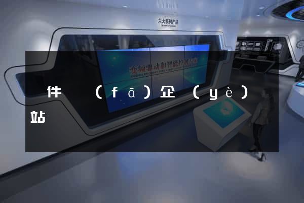 軟件開發(fā)企業(yè)網站