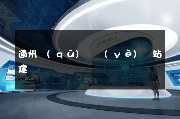 通州區(qū)專業(yè)網站建設
