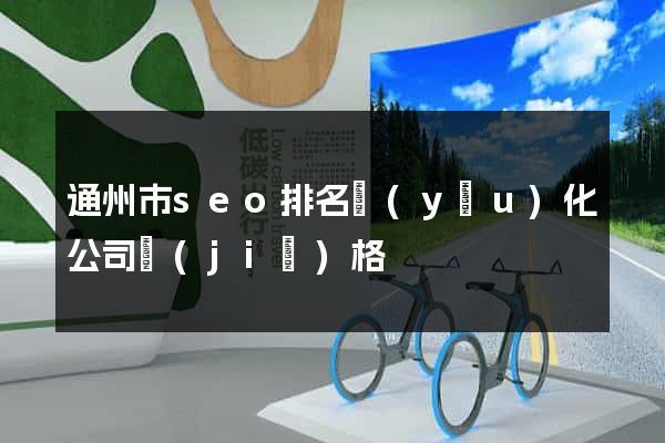 通州市seo排名優(yōu)化公司價(jià)格