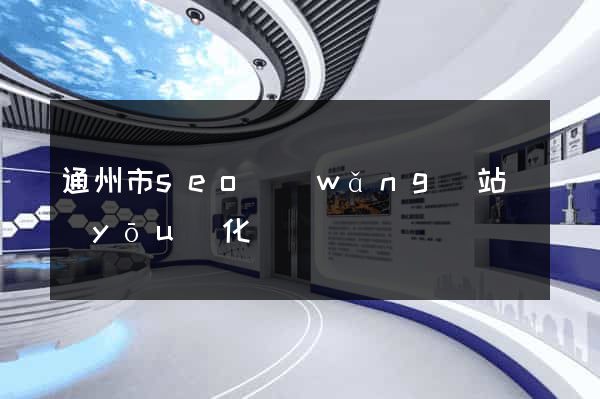 通州市seo網(wǎng)站優(yōu)化