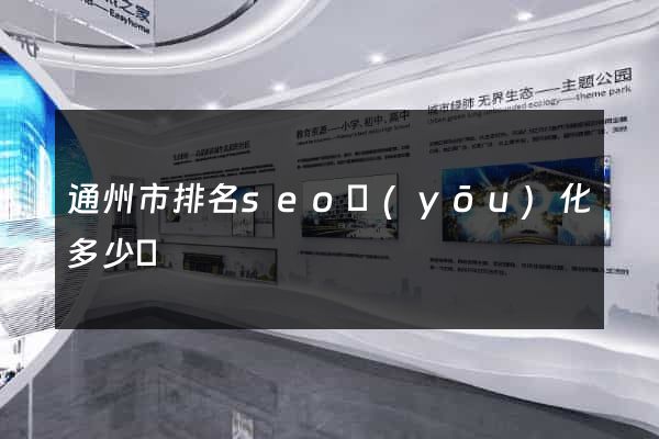 通州市排名seo優(yōu)化多少錢