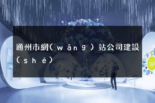 通州市網(wǎng)站公司建設(shè)