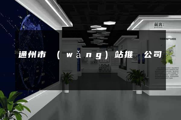 通州市網(wǎng)站推廣公司
