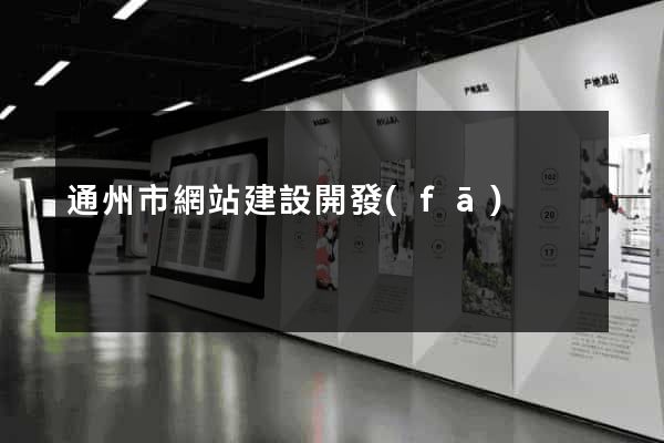 通州市網站建設開發(fā)