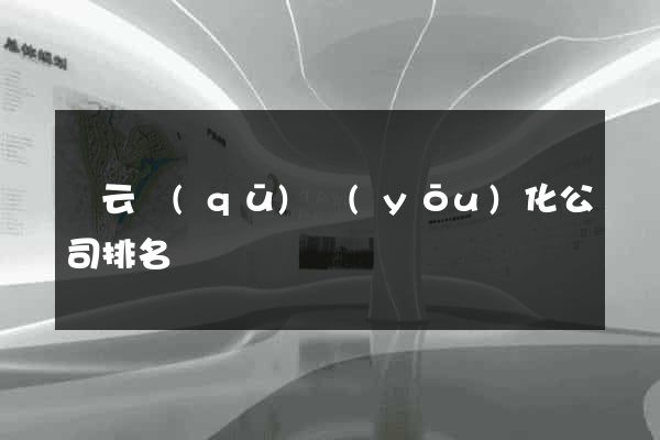 連云區(qū)優(yōu)化公司排名