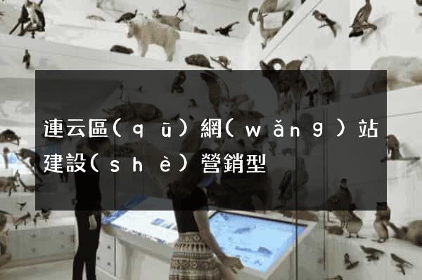 連云區(qū)網(wǎng)站建設(shè)營銷型