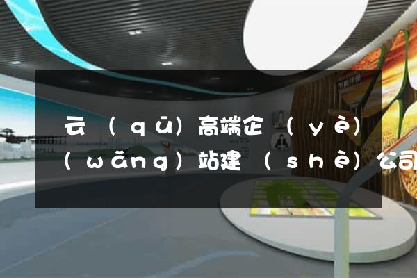 連云區(qū)高端企業(yè)網(wǎng)站建設(shè)公司