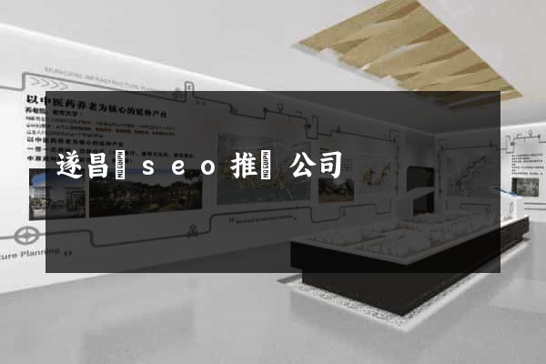 遂昌縣seo推廣公司