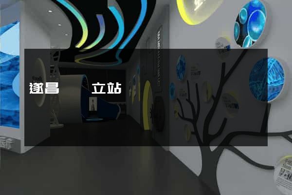 遂昌縣獨立站運營