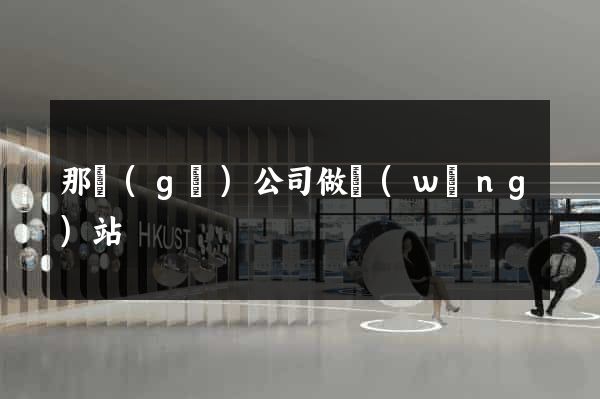 那個(gè)公司做網(wǎng)站