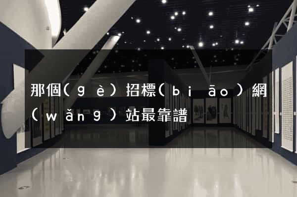 那個(gè)招標(biāo)網(wǎng)站最靠譜