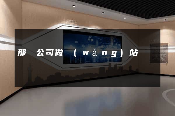 那個公司做網(wǎng)站