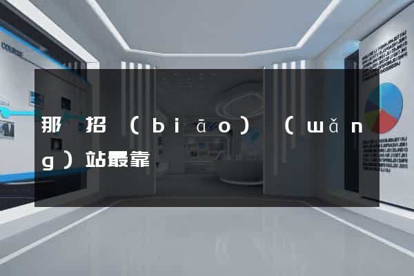 那個招標(biāo)網(wǎng)站最靠譜