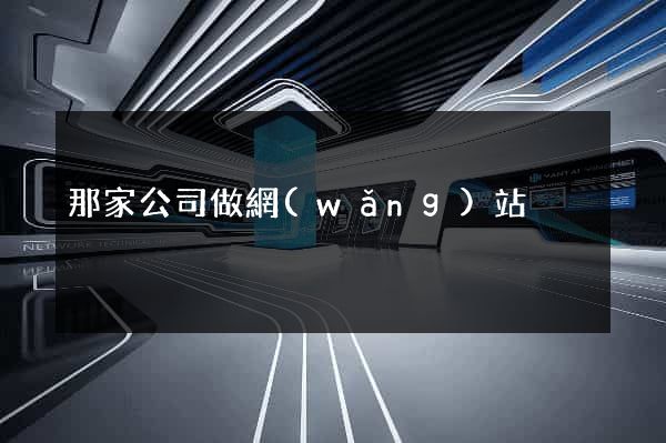 那家公司做網(wǎng)站