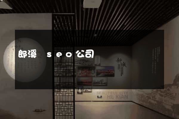 郎溪縣seo公司