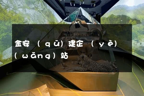 金安區(qū)建企業(yè)網(wǎng)站
