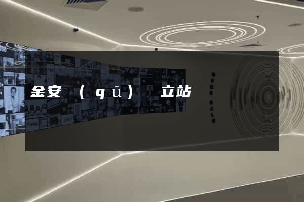 金安區(qū)獨立站運營