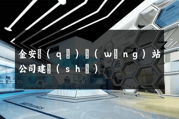 金安區(qū)網(wǎng)站公司建設(shè)