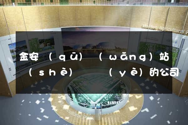 金安區(qū)網(wǎng)站設(shè)計專業(yè)的公司