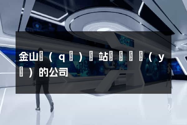 金山區(qū)網站設計專業(yè)的公司