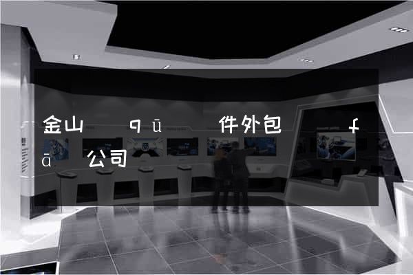金山區(qū)軟件外包開發(fā)公司
