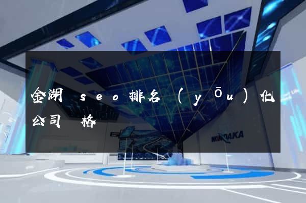 金湖縣seo排名優(yōu)化公司價格