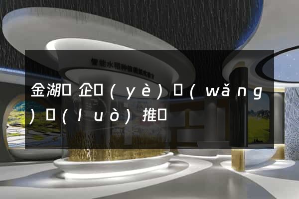 金湖縣企業(yè)網(wǎng)絡(luò)推廣