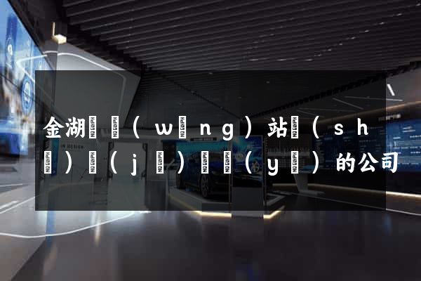 金湖縣網(wǎng)站設(shè)計(jì)專業(yè)的公司