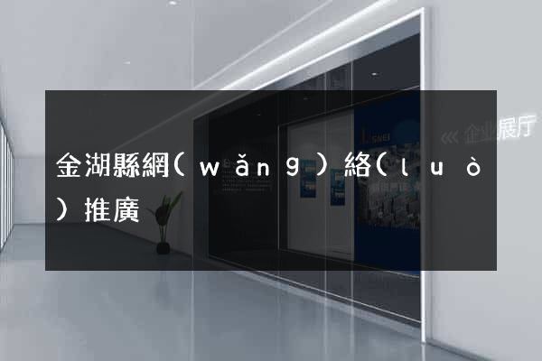 金湖縣網(wǎng)絡(luò)推廣