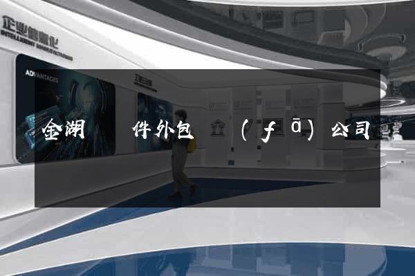 金湖縣軟件外包開發(fā)公司