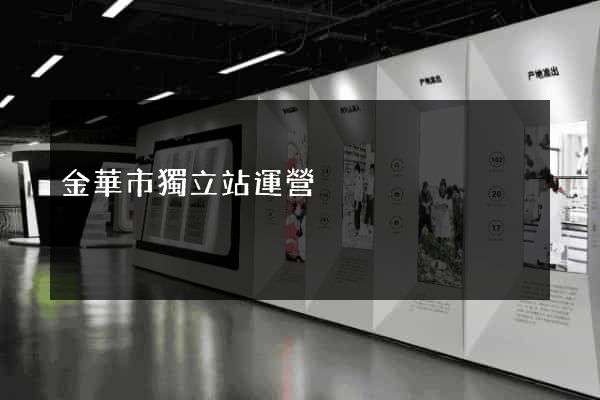 金華市獨立站運營