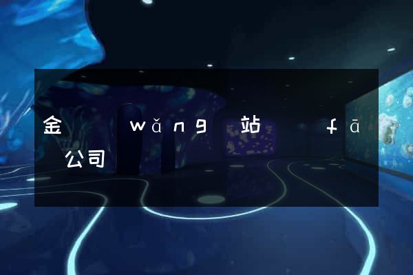 金華網(wǎng)站開發(fā)公司