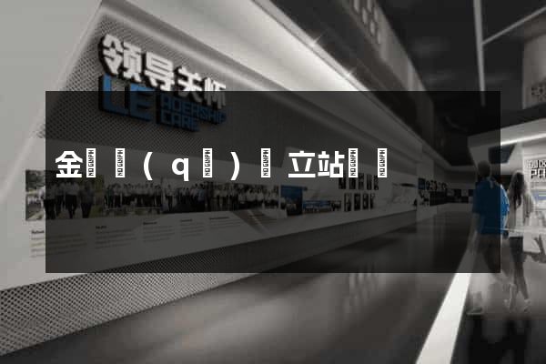 金閶區(qū)獨立站運營