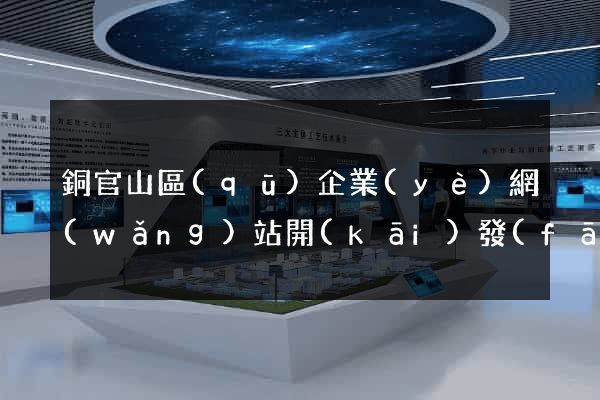 銅官山區(qū)企業(yè)網(wǎng)站開(kāi)發(fā)