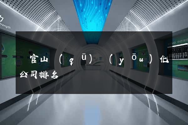 銅官山區(qū)優(yōu)化公司排名