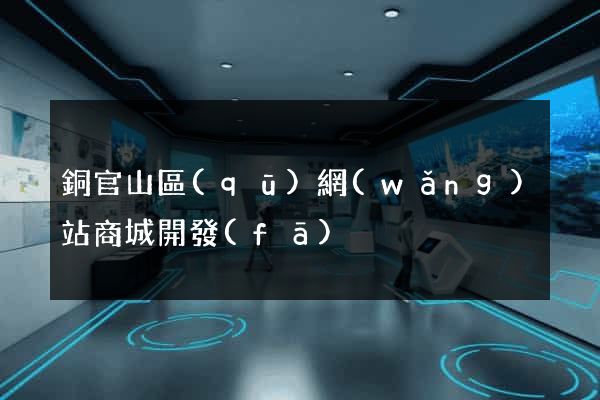 銅官山區(qū)網(wǎng)站商城開發(fā)