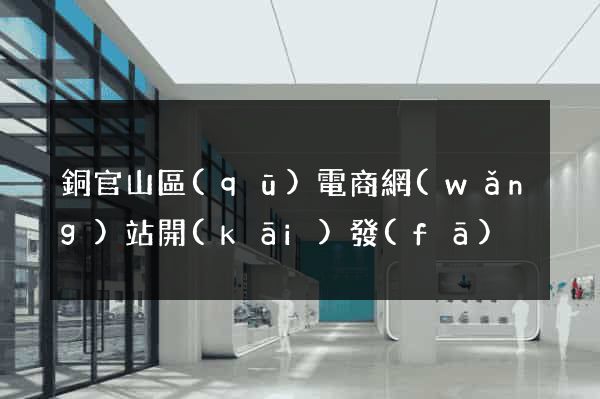 銅官山區(qū)電商網(wǎng)站開(kāi)發(fā)