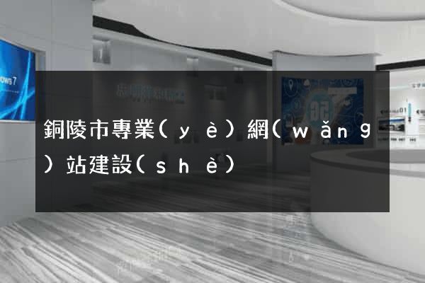 銅陵市專業(yè)網(wǎng)站建設(shè)