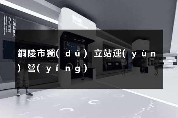 銅陵市獨(dú)立站運(yùn)營(yíng)