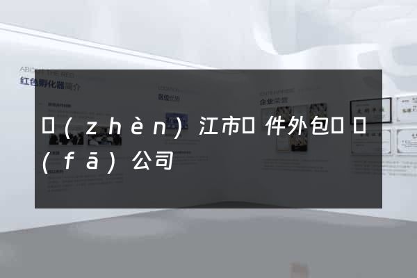 鎮(zhèn)江市軟件外包開發(fā)公司