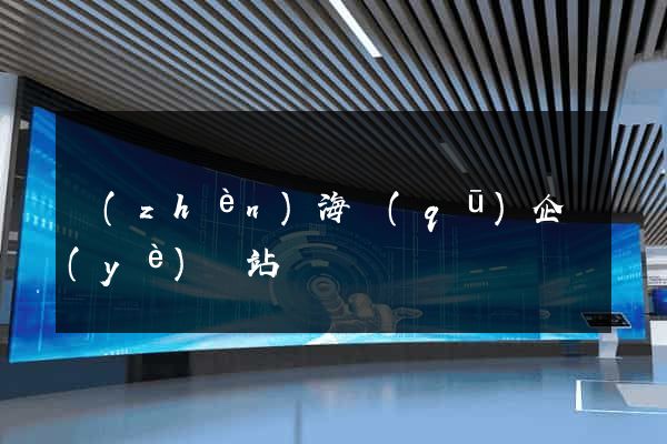鎮(zhèn)海區(qū)企業(yè)網站設計
